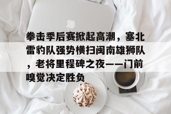 拳击季后赛掀起高潮，塞北雷豹队强势横扫闽南雄狮队，老将里程碑之夜——门前嗅觉决定胜负